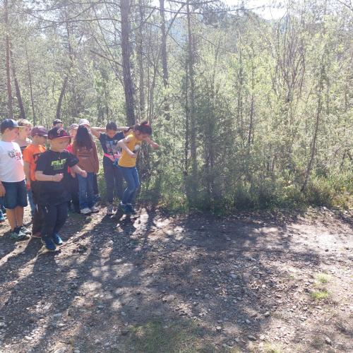 Kinder stehen im Wald