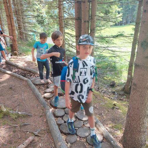 Kinder auf Waldweg