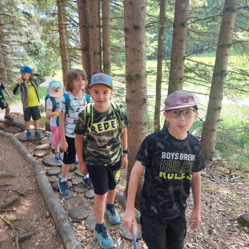 Kinder am Weg im Wald