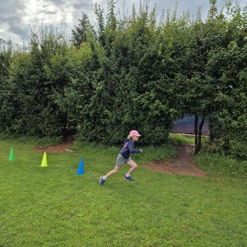 Sprint