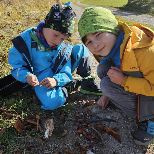 Kinder sammeln Naturgegenstände
