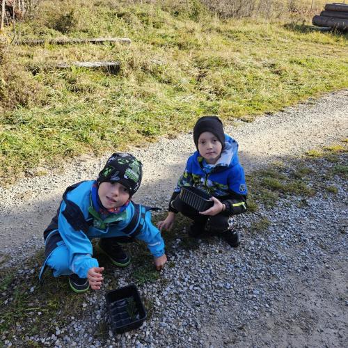 Kinder in der Natur