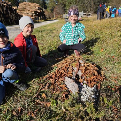 Kinder sammeln Naturgegenstände