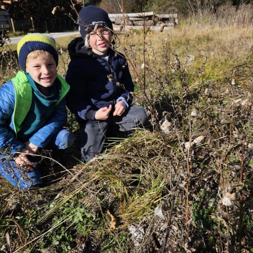 Kinder sammeln Naturgegenstände