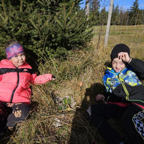 Kinder in der Natur
