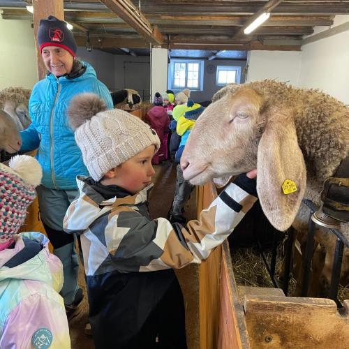 Kinder und Schaf