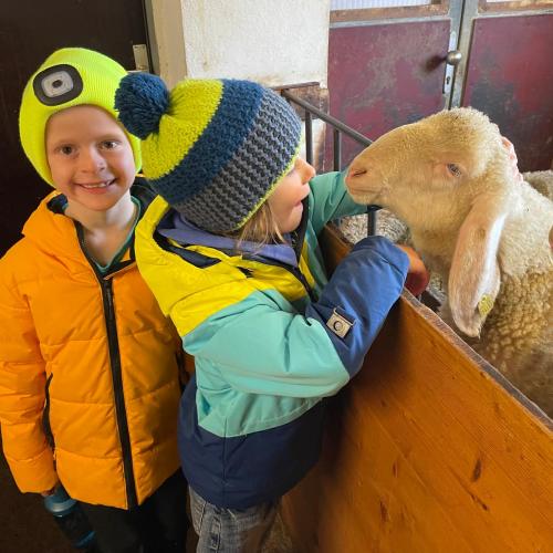 Kinder mit Schafen