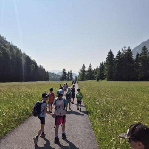 Kinder in Wiese